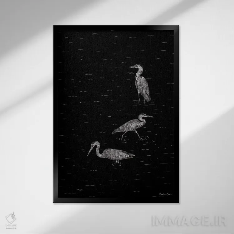 تابلو مینیمال سه حواصیل اثر مارتینا اسکات - نمای قابدار مشکی