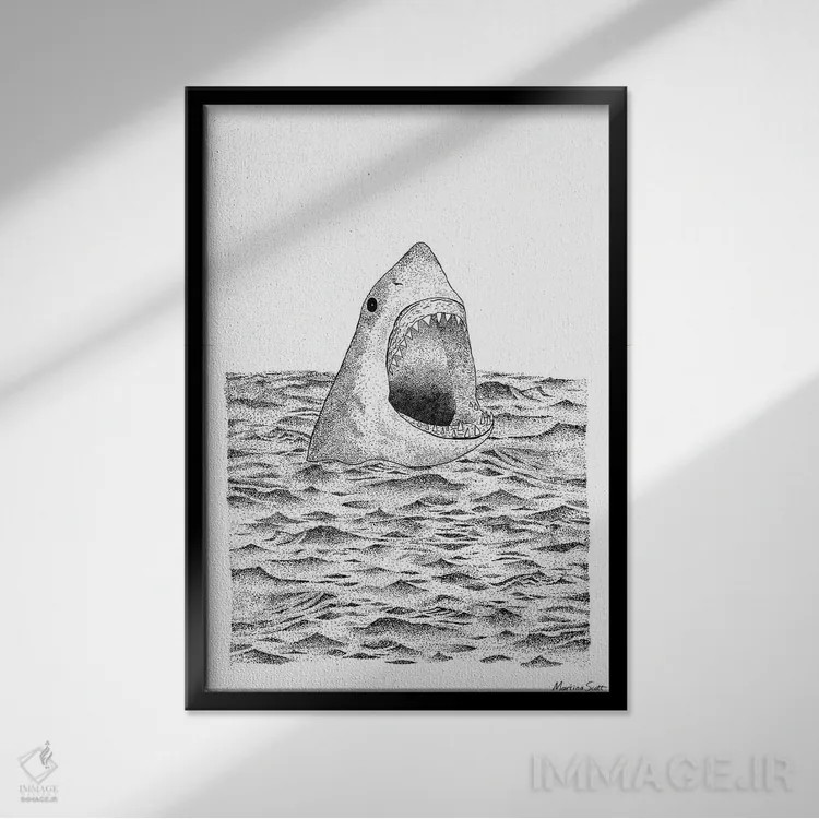 تابلو مدرن کوسه اثر مارتینا اسکات - نمای قابدار مشکی