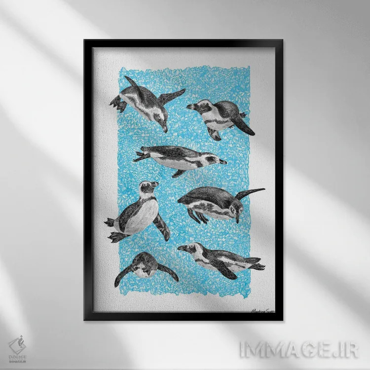 تابلو مدرن پنگوئن های آفریقایی اثر مارتینا اسکات - نمای قابدار مشکی