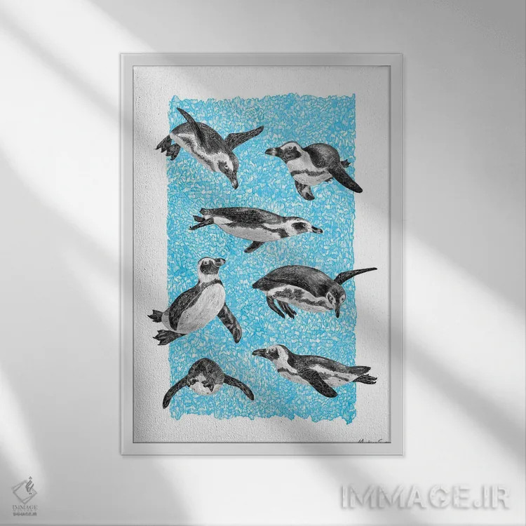 تابلو مدرن پنگوئن های آفریقایی اثر مارتینا اسکات - نمای قابدار سفید