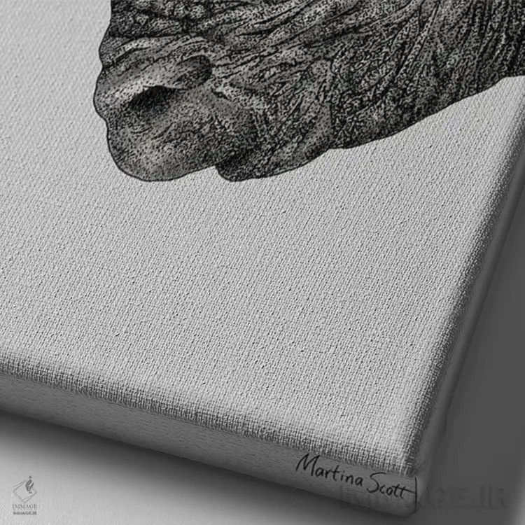 تابلو مدرن کرگدن خسته اثر مارتینا اسکات - نمای نزدیک بافت بوم