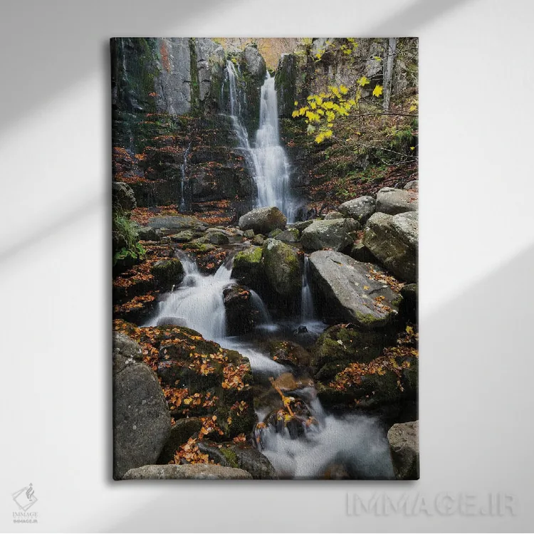 تابلو دکوراتیو داردانیا اثر مائورو باتیستلی - نمای روبهرو روی دیوار