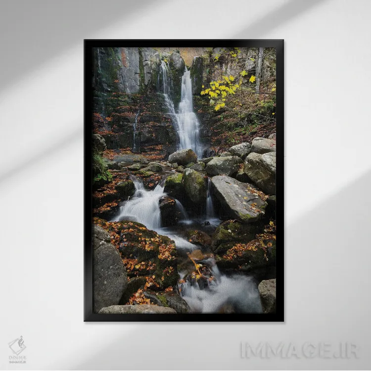 تابلو دکوراتیو داردانیا اثر مائورو باتیستلی - نمای قابدار مشکی