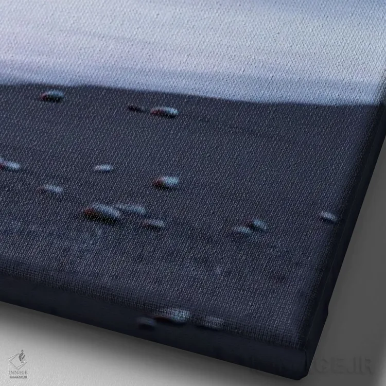 تابلو دکوراتیو زیبایی ویک اثر مائورو باتیستلی - نمای نزدیک بافت بوم