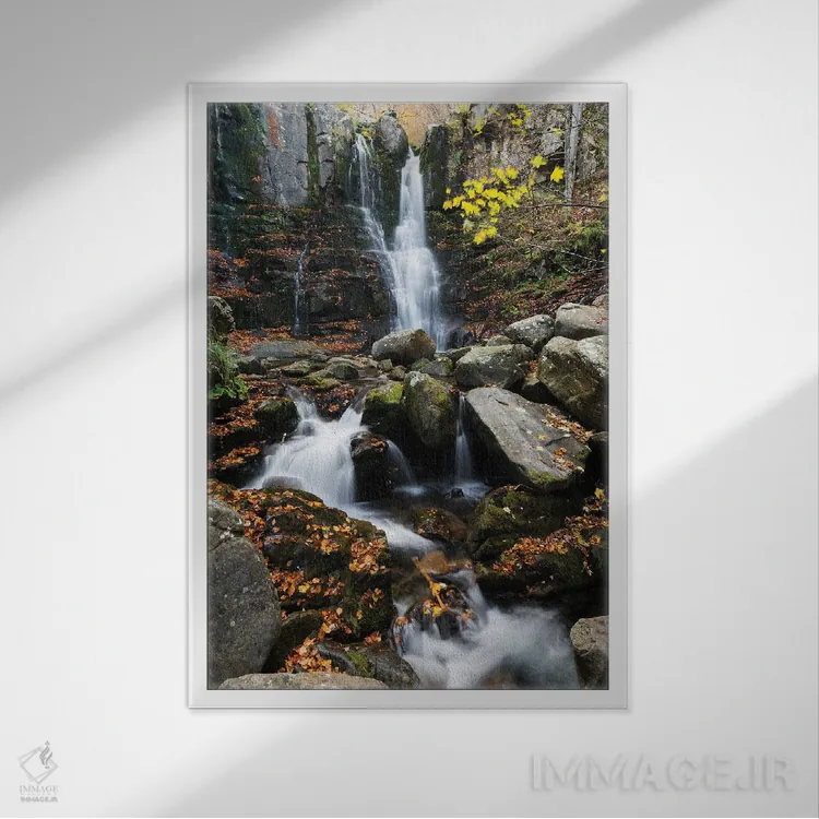 تابلو دکوراتیو داردانیا اثر مائورو باتیستلی - نمای قابدار سفید