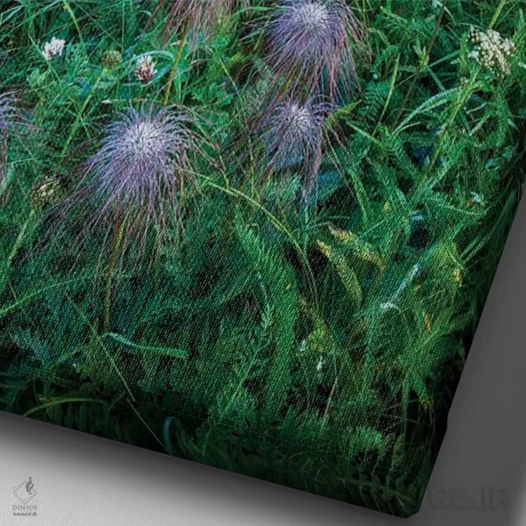 تابلو دکوراتیو گردنه سلا اثر مائورو باتیستلی - نمای نزدیک بافت بوم