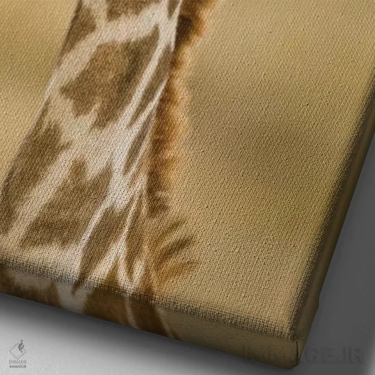 تابلو دکوراتیو آفریقا، کنیا، ماسای مارا، اوپرمارا، زرافه ماسای… اثر جو و مری ان مک دونالد - نمای نزدیک بافت بوم