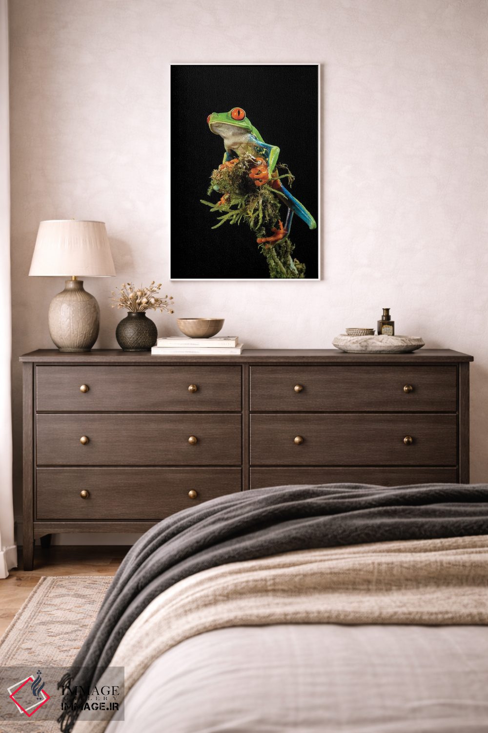 تابلو دکوراتیو قورباغه درختی چشم قرمز، کاستاریکا اثر جو و مری ان مک دونالد - D1W
