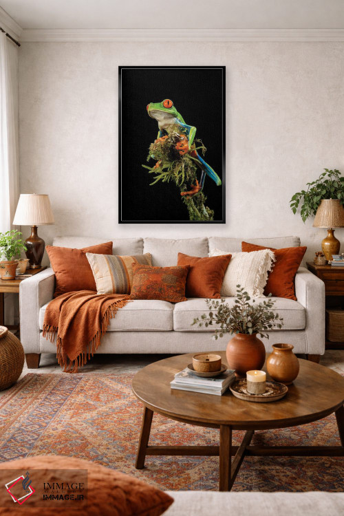 تابلو دکوراتیو قورباغه درختی چشم قرمز، کاستاریکا اثر جو و مری ان مک دونالد - D3B