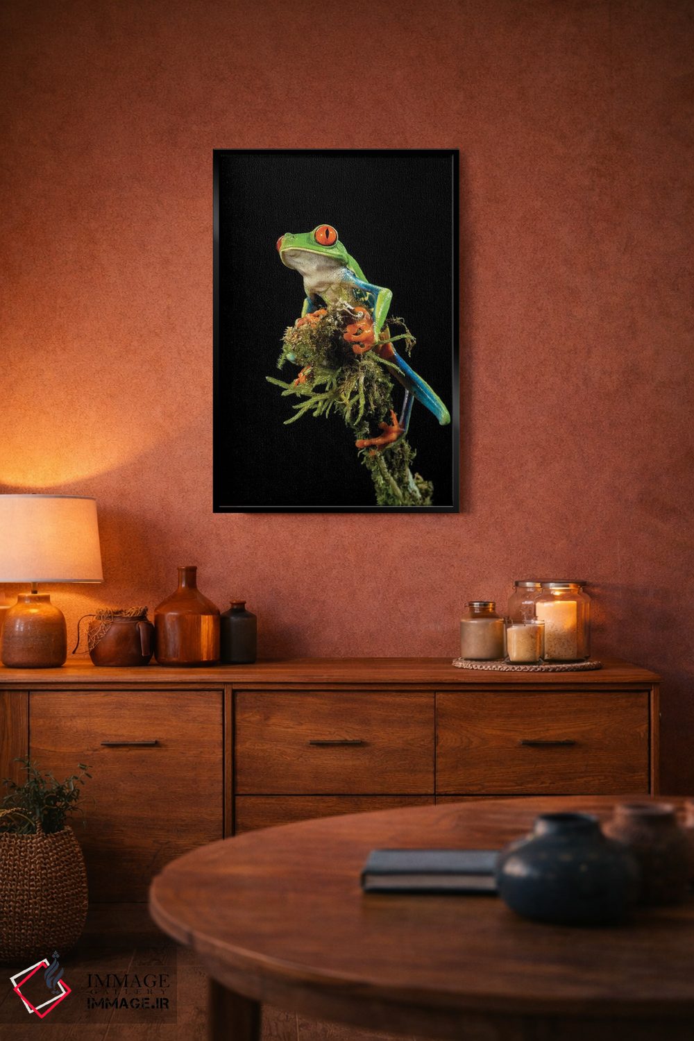 تابلو دکوراتیو قورباغه درختی چشم قرمز، کاستاریکا اثر جو و مری ان مک دونالد - D5B