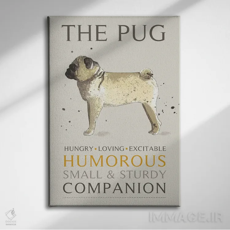 تابلو دکوراتیو پاگ اثر میشل کمپل - نمای روبهرو روی دیوار