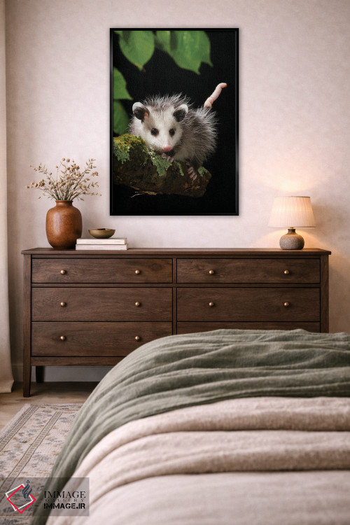 تابلو دکوراتیو اپوسوم ویرجینیا، پنسیلوانیا، آمریکا اثر جو و مری ان مک دونالد - D5B