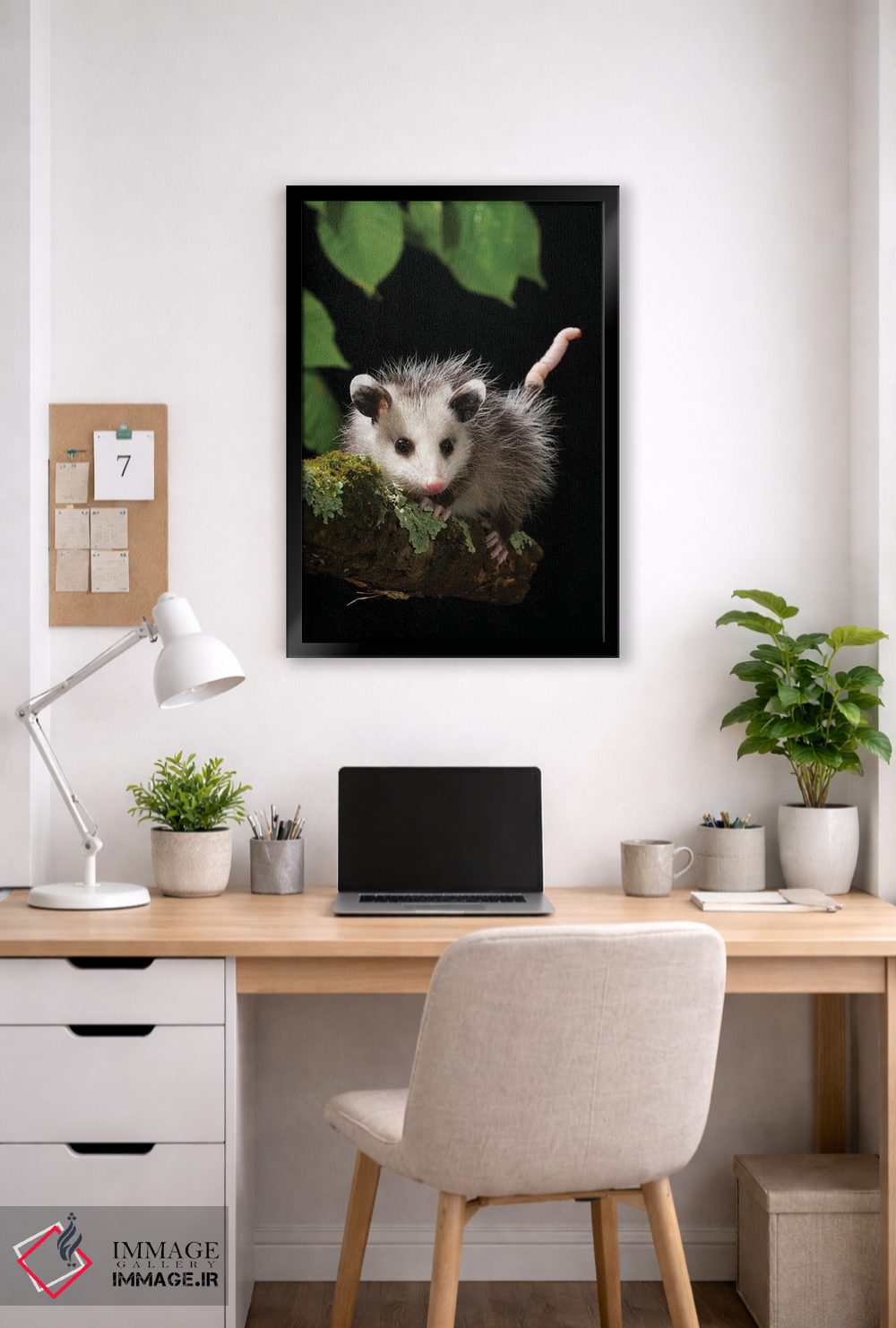 تابلو دکوراتیو اپوسوم ویرجینیا، پنسیلوانیا، آمریکا اثر جو و مری ان مک دونالد - D6B