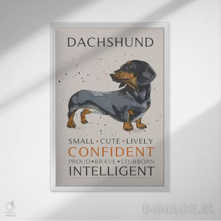 تابلو دکوراتیو داش هوند اثر میشل کمپل - نمای قابدار سفید