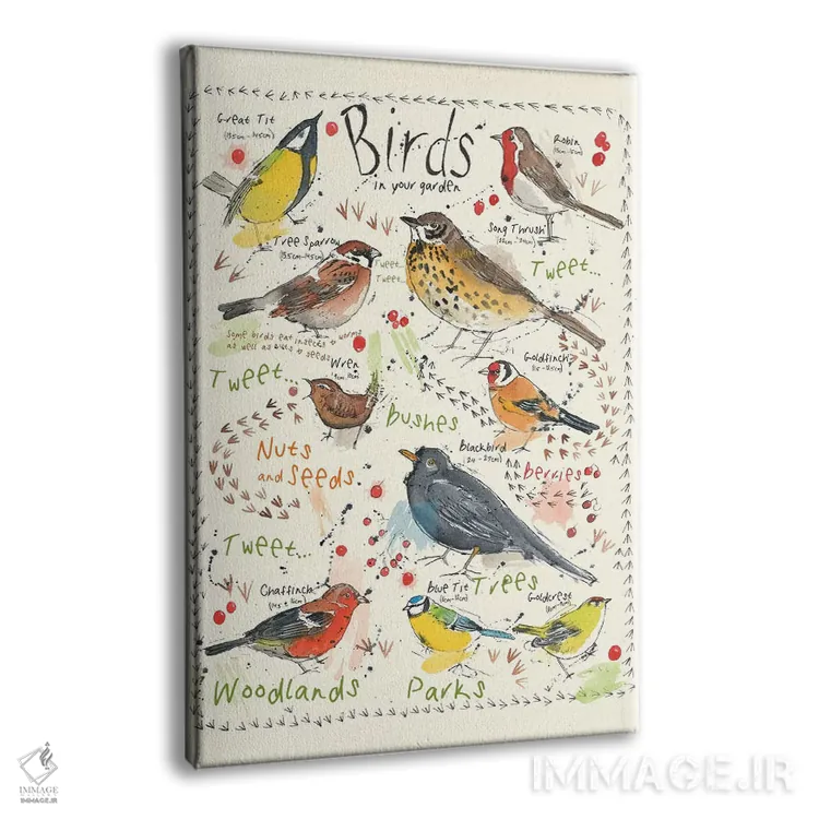 تابلو مدرن پرندگان در باغ شما ۲ اثر میشل کمپل - نمای پرسپکتیو محصول