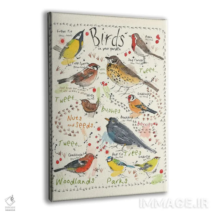 تابلو مدرن پرندگان در باغ شما ۲ اثر میشل کمپل - نمای پرسپکتیو محصول