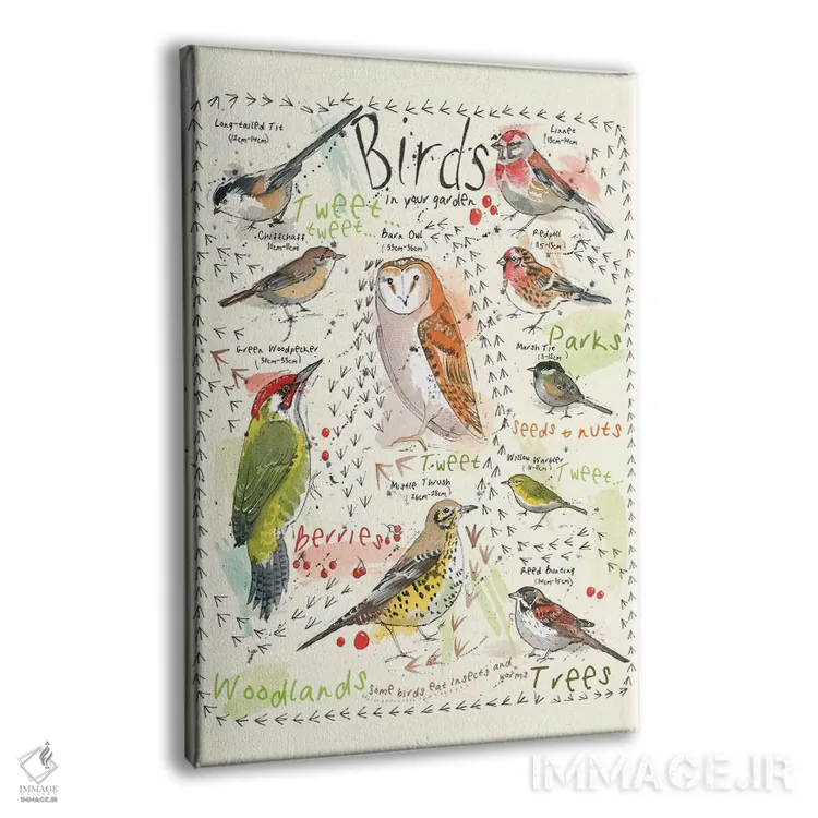 تابلو مدرن پرندگان در باغ شما ۳ اثر میشل کمپل - نمای پرسپکتیو محصول