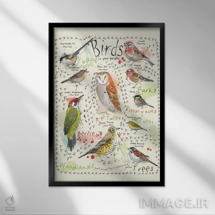 تابلو مدرن پرندگان در باغ شما ۳ اثر میشل کمپل - نمای قابدار مشکی