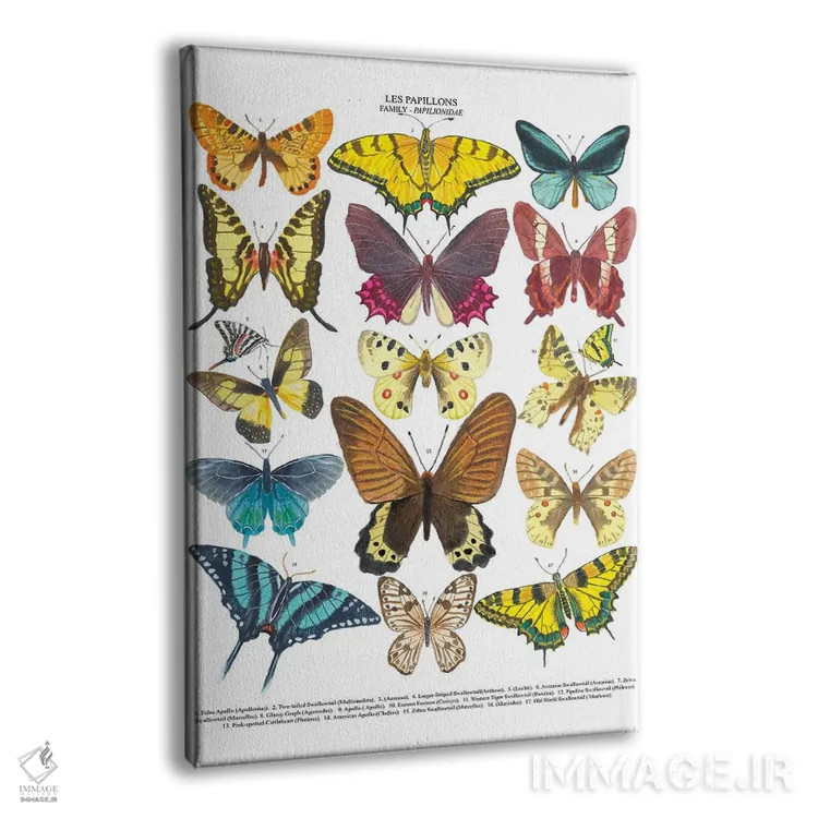 تابلو دکوراتیو پروانه ها اثر میشل کمپل - نمای پرسپکتیو محصول