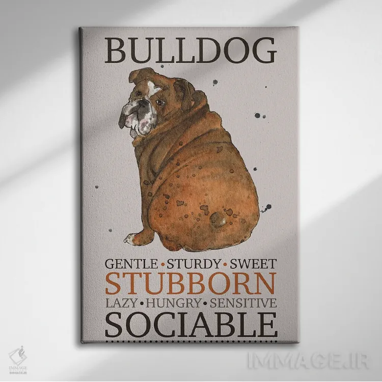 تابلو دکوراتیو ویژگی های سگ بولداگ اثر میشل کمپل - نمای روبهرو روی دیوار