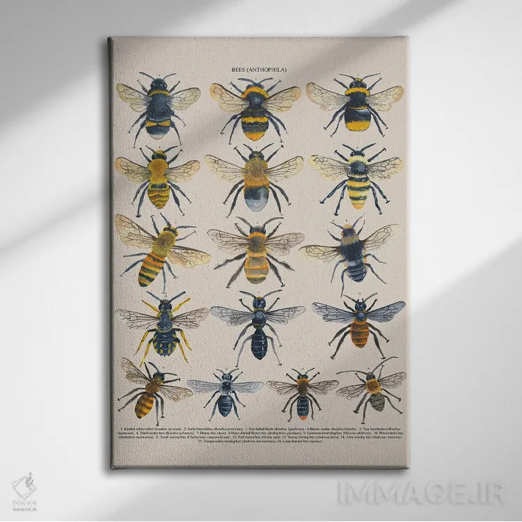 تابلو دکوراتیو زنبورها اثر میشل کمپل - نمای روبهرو روی دیوار