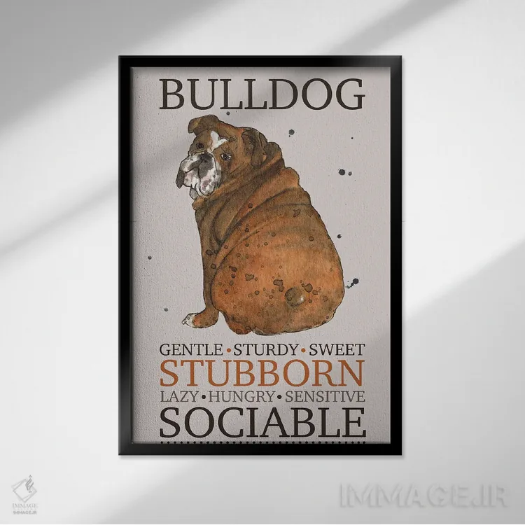 تابلو دکوراتیو ویژگی های سگ بولداگ اثر میشل کمپل - نمای قابدار مشکی