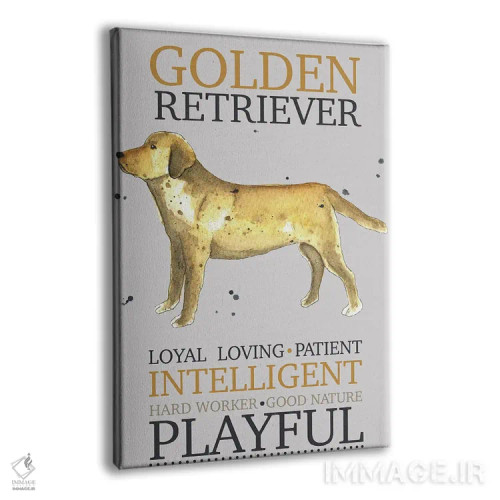 تابلو دکوراتیو ویژگی های سگ گلدن رتریور اثر میشل کمپل - نمای پرسپکتیو محصول
