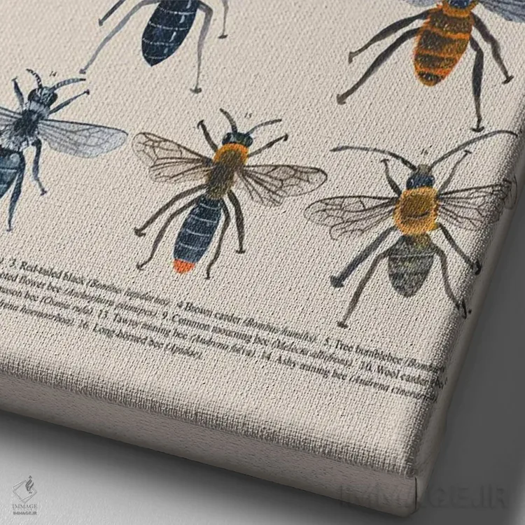 تابلو دکوراتیو زنبورها اثر میشل کمپل - نمای نزدیک بافت بوم