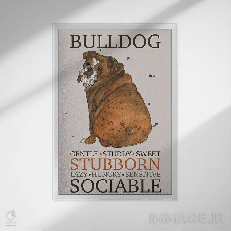 تابلو دکوراتیو ویژگی های سگ بولداگ اثر میشل کمپل - نمای قابدار سفید