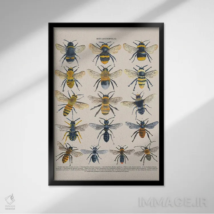 تابلو دکوراتیو زنبورها اثر میشل کمپل - نمای قابدار مشکی