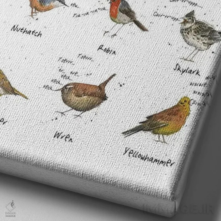تابلو مدرن پرندگان آوازخوان بریتانیا اثر میشل کمپل - نمای نزدیک بافت بوم