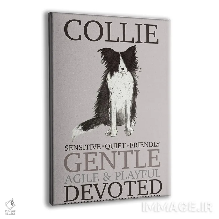 تابلو دکوراتیو ویژگی های سگ کولی اثر میشل کمپل - نمای پرسپکتیو محصول