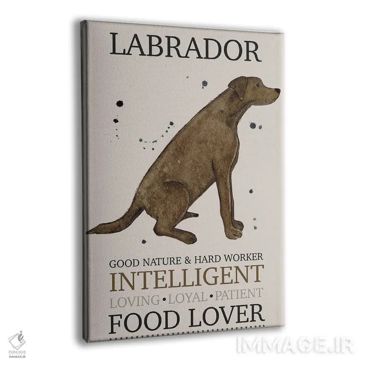 تابلو دکوراتیو ویژگی های سگ لابرادور اثر میشل کمپل - نمای پرسپکتیو محصول