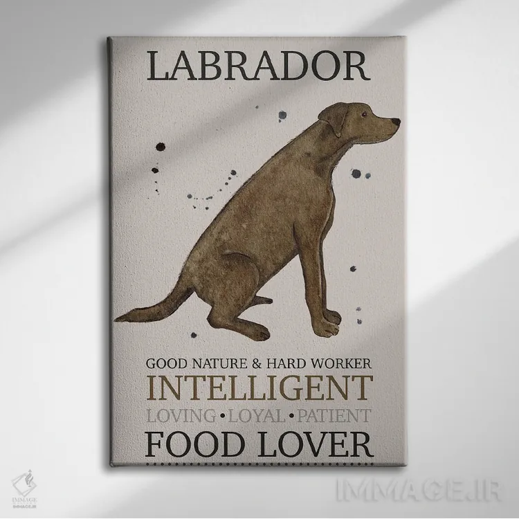 تابلو دکوراتیو ویژگی های سگ لابرادور اثر میشل کمپل - نمای روبهرو روی دیوار