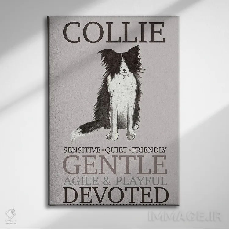 تابلو دکوراتیو ویژگی های سگ کولی اثر میشل کمپل - نمای روبهرو روی دیوار
