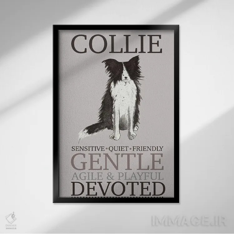 تابلو دکوراتیو ویژگی های سگ کولی اثر میشل کمپل - نمای قابدار مشکی