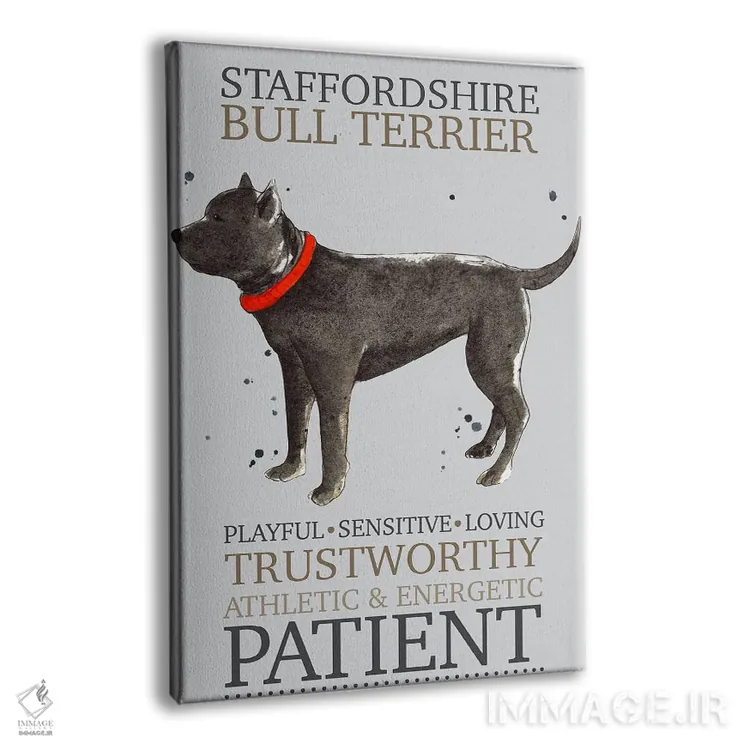 تابلو دکوراتیو ویژگی های سگ تریر بول استفوردشایر اثر میشل کمپل - نمای پرسپکتیو محصول
