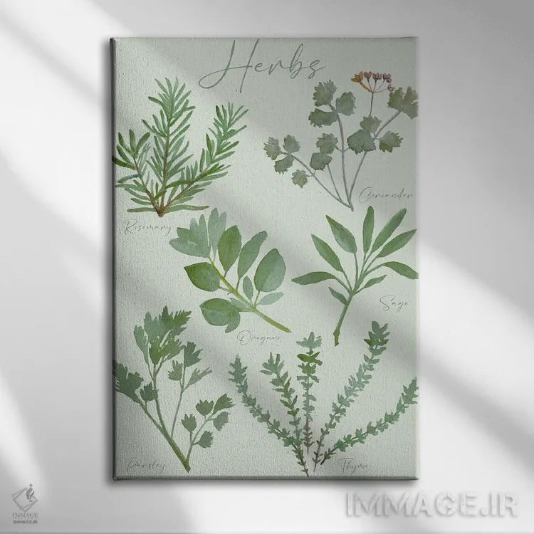 تابلو دکوراتیو نمودار گیاهان دارویی اثر میشل کمپل - نمای روبهرو روی دیوار