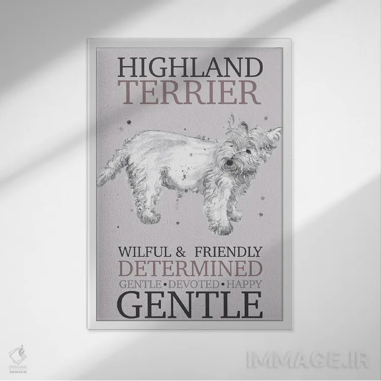 تابلو دکوراتیو ویژگی های سگ هایلند تریر اثر میشل کمپل - نمای قابدار سفید
