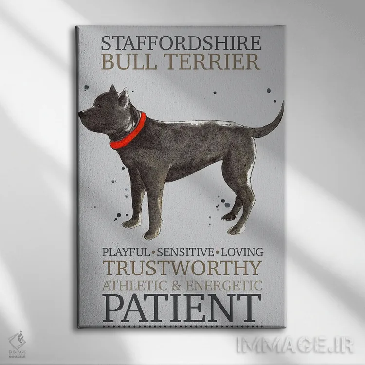 تابلو دکوراتیو ویژگی های سگ تریر بول استفوردشایر اثر میشل کمپل - نمای روبهرو روی دیوار