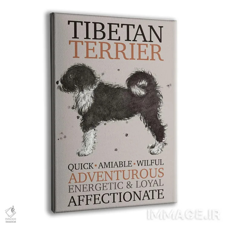 تابلو دکوراتیو ویژگی های سگ تریر تبت اثر میشل کمپل - نمای پرسپکتیو محصول