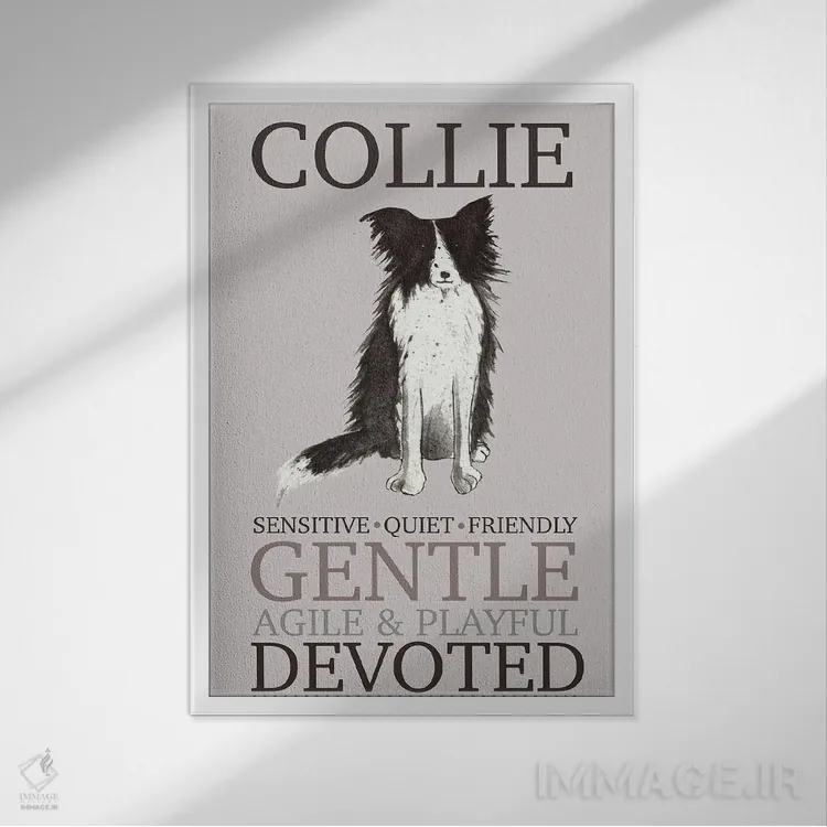 تابلو دکوراتیو ویژگی های سگ کولی اثر میشل کمپل - نمای قابدار سفید