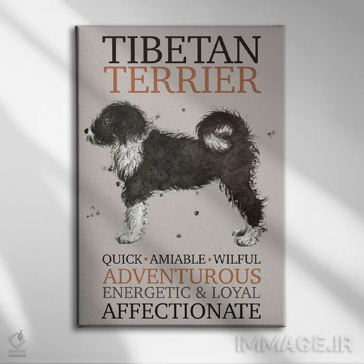 تابلو دکوراتیو ویژگی های سگ تریر تبت اثر میشل کمپل - نمای روبهرو روی دیوار