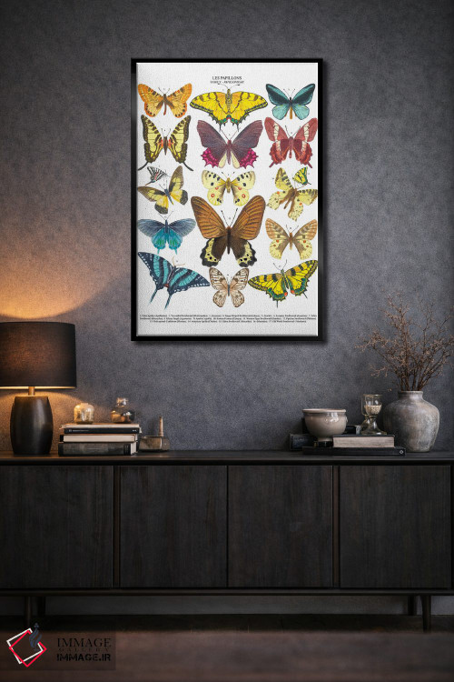 تابلو دکوراتیو پروانه ها اثر میشل کمپل - D2B