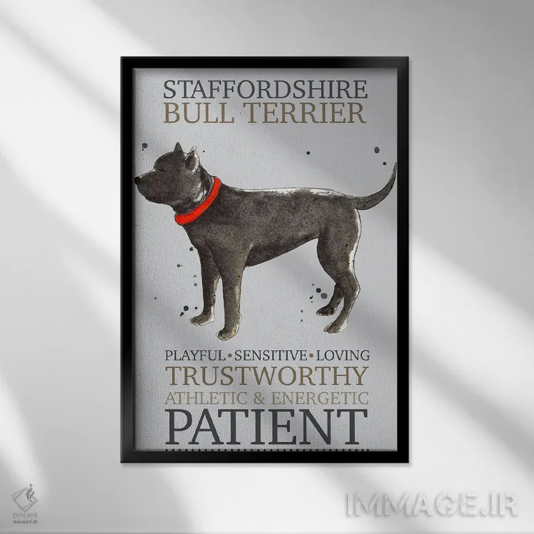 تابلو دکوراتیو ویژگی های سگ تریر بول استفوردشایر اثر میشل کمپل - نمای قابدار مشکی