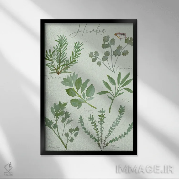 تابلو دکوراتیو نمودار گیاهان دارویی اثر میشل کمپل - نمای قابدار مشکی