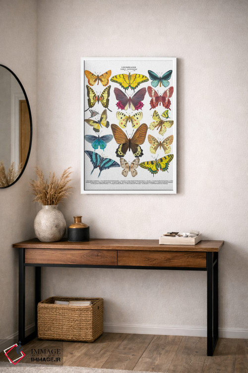 تابلو دکوراتیو پروانه ها اثر میشل کمپل - D3W