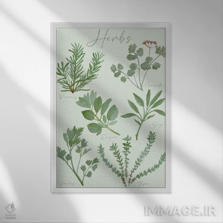 تابلو دکوراتیو نمودار گیاهان دارویی اثر میشل کمپل - نمای قابدار سفید