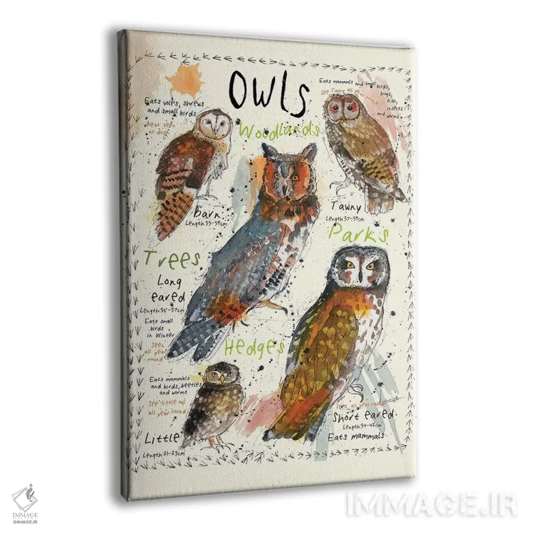 تابلو مدرن جغدها اثر میشل کمپل - نمای پرسپکتیو محصول