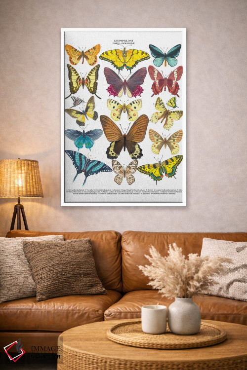 تابلو دکوراتیو پروانه ها اثر میشل کمپل - D4W